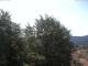 Gmund am Tegernsee Do. 16.7.