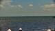 Bokeelia, Florida Do. 16.7.