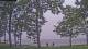 Houghton Lake, Michigan Do. 16.7.