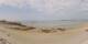 Carnac Do. 16.7.