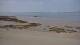 Carnac Do. 16.7.