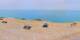 Donville-les-Bains Do. 16.7.