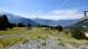 Passy Do. 16.7.