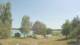 Petting am Waginger See Do. 16.7.