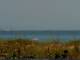 Cape Canaveral, Florida Fr. 17.7.