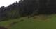 Going am Wilden Kaiser Fr. 17.7.