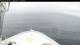 Norwegian Bliss Fr. 17.7.