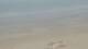 De Panne Fr. 17.7.