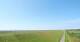 Westerhever Fr. 17.7.