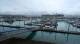 Seward, Alaska Fr. 17.7.