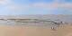 Saint-Brevin-les-Pins Fr. 17.7.