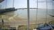 Brightlingsea Fr. 17.7.