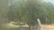 Fairview, Tennessee Sa. 18.7.
