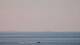 Saint-Gildas-de-Rhuys Sa. 18.7.
