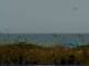 Cape Canaveral, Florida Sa. 18.7.