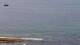 Ericeira Sa. 18.7.