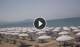 Paestum Sa. 18.7.