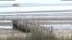 Wyk auf Föhr Sa. 18.7.