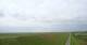 Westerhever Sa. 18.7.