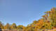 Kelsey Creek Sa. 18.7.
