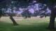 Camp Verde, Texas Sa. 18.7.