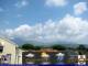 Viareggio So. 19.7.