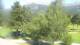 Barcelonnette So. 19.7.