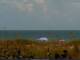 Cape Canaveral, Florida So. 19.7.