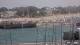 Carnac So. 19.7.