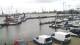 Delfzijl So. 19.7.