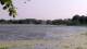 Les Landes-Genusson So. 19.7.