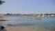 Île-Tudy So. 19.7.