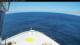 Norwegian Bliss So. 19.7.