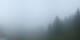 Flims So. 19.7.
