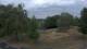 Steinbrunn So. 19.7.