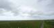 Westerhever So. 19.7.