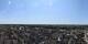 Orléans So. 19.7.