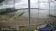Brightlingsea So. 19.7.