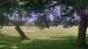 Camp Verde, Texas So. 19.7.