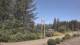 Wishkah, Washington So. 19.7.