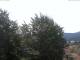 Gmund am Tegernsee Mo. 20.7.