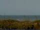 Cape Canaveral, Florida Mo. 20.7.