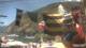 Vernazza (Cinque Terre) Mo. 20.7.