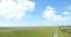 Westerhever Mo. 20.7.