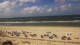 Hörnum (Sylt) Mo. 20.7.