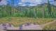 Lassen Volcanic National Park, Kalifornien Di. 21.7.