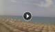 Marina di Bibbona Di. 21.7.