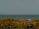 Cape Canaveral, Florida Di. 21.7.