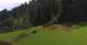 Going am Wilden Kaiser Di. 21.7.