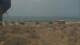 Alvor (Algarve) Di. 21.7.
